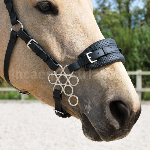 Flower hackamore bitless - hackamore,