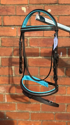New crystal star - crystal, bridle