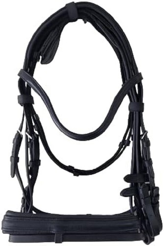 New bridle famous - famous,, gr
