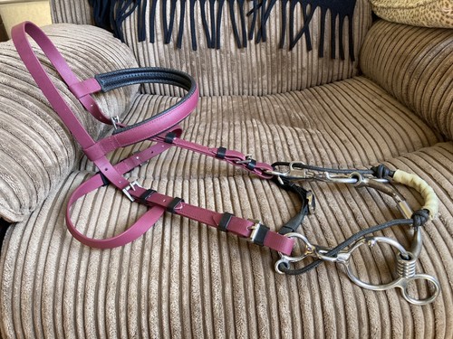 Pony cob arab - bit, &