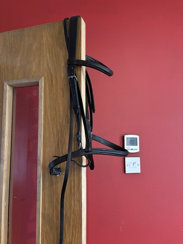Black cob size bridle - black,