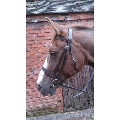 Hunter bridle with reins - with,