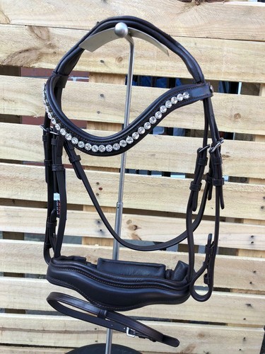 Equipride anatomical show - equipride,