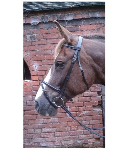 Reduced sale flash - -, snaffle