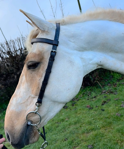 English made clip work bridle - english,