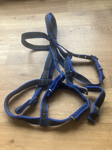 Libby blue and - blue, black