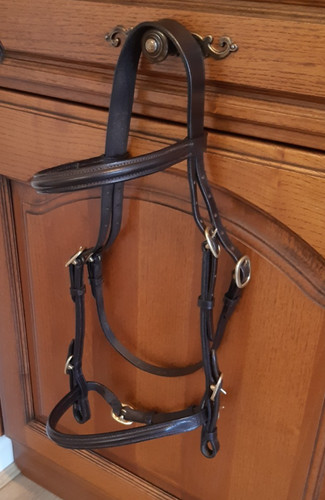 Inhand bridle brown pony - inhand, hv