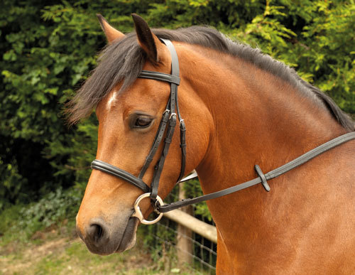 Windsor plain bridle - windsor, bridle,