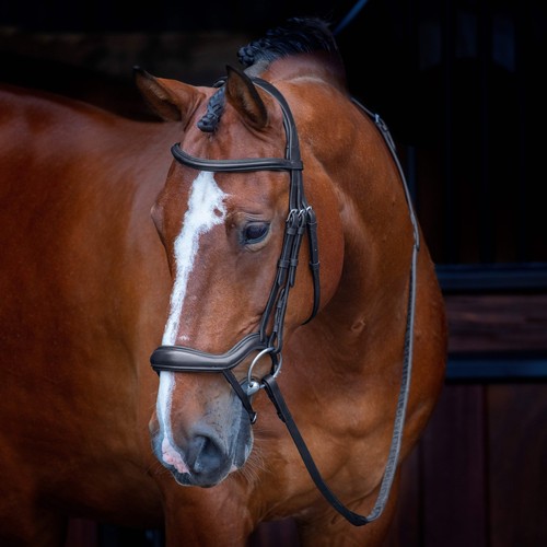 Shires velociti rapida - shires,