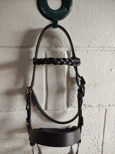 Soft hand show - soft, bridle