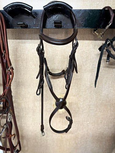 Shires velociti grackle - velociti, bridle