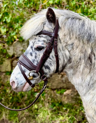 Comfort flash snaffle - snaffle, bridle