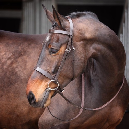 Shires velociti gara - shires, plain