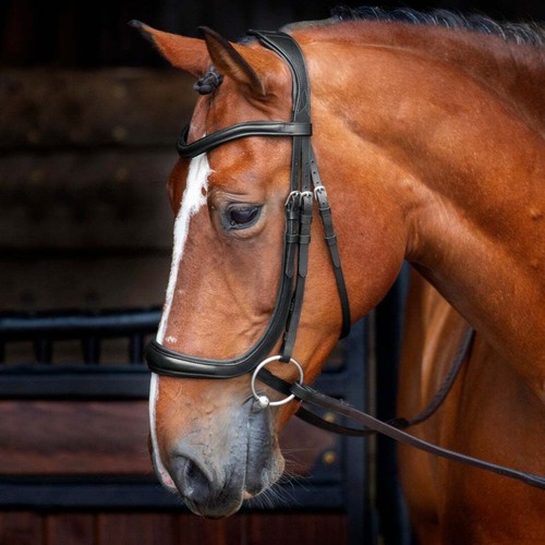 Shires velociti rapida - velociti,
