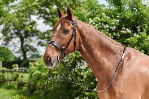 Wilson horse plain reins hunt - wilson,