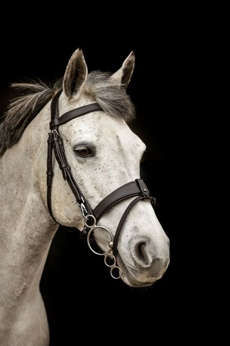 Equipride working hunter - working,
