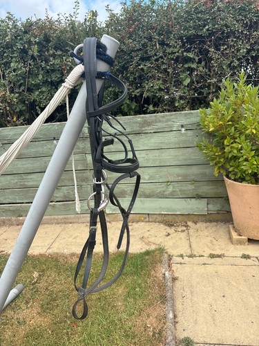 Wintec pony bridle - wintec,
