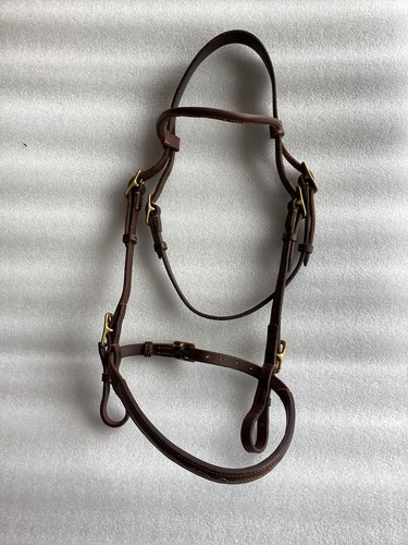 Hand showing bridle - bridle, brown