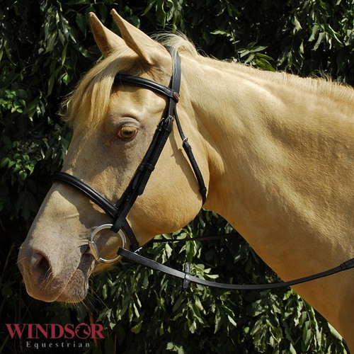 Leather bridle with - with, cavesson