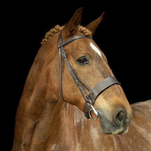 Gallop leather hunter bridle - leather,