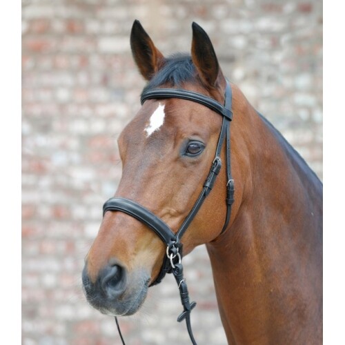 Star bitless bridle - -, scawbrig