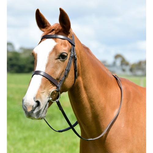 Kincade classic flat - classic, hunt