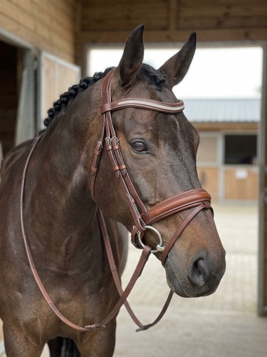 Brown comfort leather horse - brown,