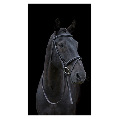 Cameo equine classic bridle - cameo,