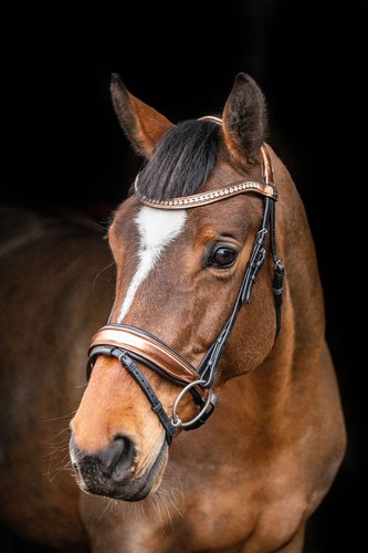 Equipride anatomical bridle - equipride,