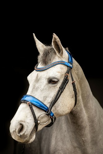 Equipride anatomical bridle - anatomical,