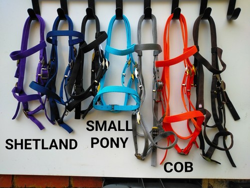 Bridle shetland small - shetland,,
