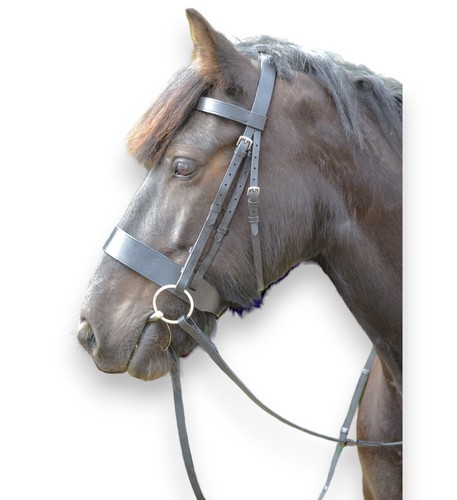 Leather horse hunter bridle - horse,