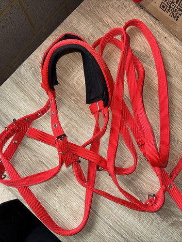 Red webbing large - large, pony