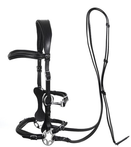 Calli star bitless bridle - calli,
